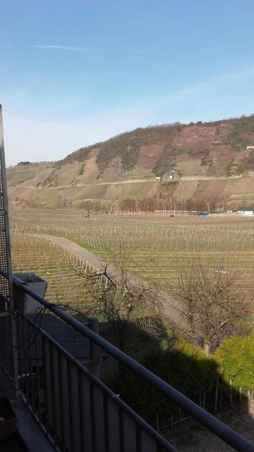 Gaestehaus Moselblick Trittenheim Esterno foto